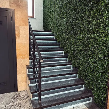 Sveti Nikola * 포마리